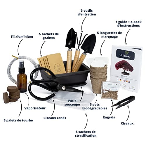 CULTIVEA® Kit Bonsaï Premium Prêt à Pousser - Jardinez et décorez - Entretien de vos bonsaïs et plantes naturel - Fil, Outils, Ciseaux Ronds, Petits Ciseaux Bonsai - Idée Cadeau Original