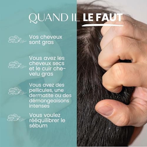 Senso Naturale Shampoing Solide Détox Purifiant Antipelliculaire et Dermatite Séborrhéique, pour Cheveux Gras avec Charbon Végétal Tea Tree Gingembre Huile de Coco, ne Sèche les Longueurs, PH 4.5-5.0