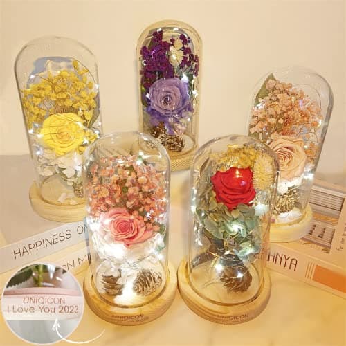 Saint Valentin Rose Eternelle sous Cloche, La Belle et la Bête Rose, Dôme en Verre Rose éternelle avec lumière LED et Base, Mariage Maison Décor, Cadeau Pour Femme, Amie, Anniversaire, Fête des mères
