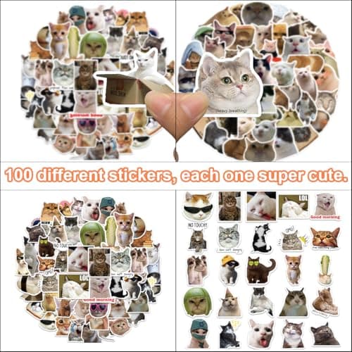 BHIPKOT Cat Meme autocollant pour ordinateur portable(100 PCS) cadeau pour enfants adolescents adultes garçons Meme Stickers vinyle imperméable pour scrapbook skateboard voiture bagages