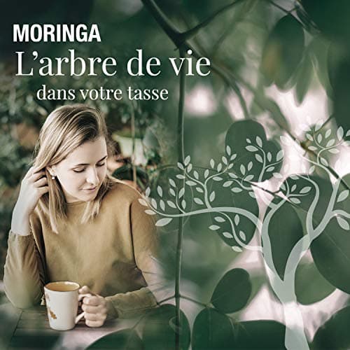ORIGEENS INFUSION BIO 100g, MORINGA FEUILLES SECHEES The en vrac sans théine, Tisane Revitalisante