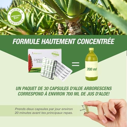 ALOEBETA Aloe Vera Arborescens Bio en Capsules Végétales - 100% Aloe Arborescens BIO - Made in Italy - Complément alimentaire BIO - Sans édulcorant ni conservateur, sans OGM - 30 paquets de Gélules