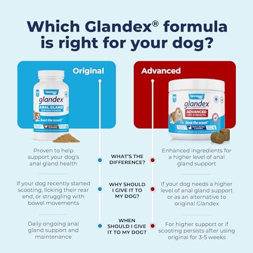 Glandex Supplément de Fibres de anale pour Chien et Chat avec Citrouille, enzymes digestives et probiotiques - Intestin et Digestion sains - Boot The Scoot - par Vetnique Lab (70g)