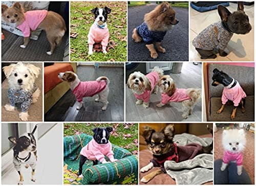 Mosucoirl Pet Chat Chien Pull, Hiver Chien Cavaliers Chat Vêtements Confortable Polaire Pet Manteau Costume Chaud Chandail Vêtements pour Chiot Petit Moyen Chien