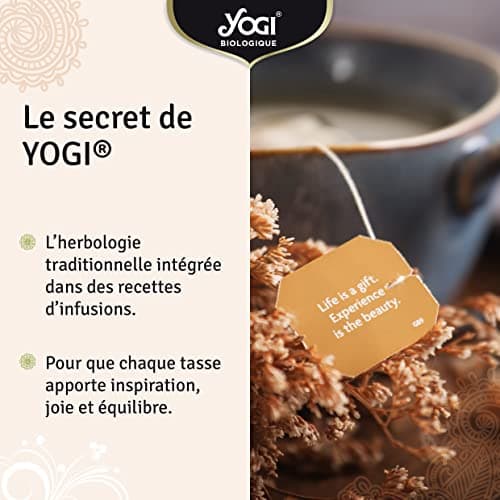 Yogi Biologique Défenses Immunitaires, Infusion 100% Bio Échinacée, Jus d'Acérola séché et Orange, 15 Sachets thermosoudés et sans agrafe, 24 g, 311016