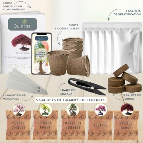 CULTIVEA® Mini Kit Prêt à Pousser Bonsaï – Graines Françaises 100% Écologiques - Jardinez et décorez - Idée Cadeau (Red Mapple, Chinese Cercis, Albizia, Cornus Kousa, Norway Spruce) - Made in France