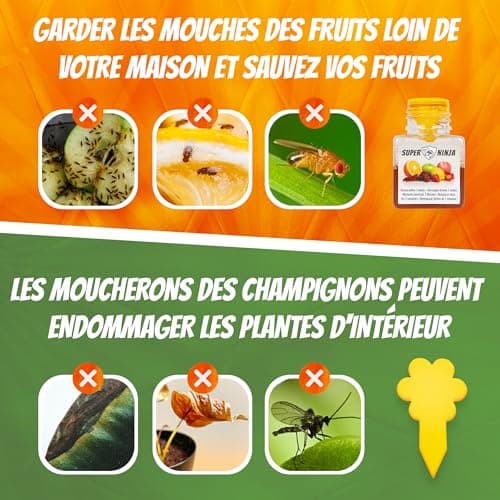 Super Ninja Piege a Moucherons – 2 Pièges - Pièges écologiques très efficaces pour Les Mouches à Fruits à l'intérieur – jusqu'à 3 semaines par Bouteille (2 Pièges)