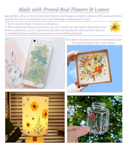 Gugxiom Fleurs Pressées Séchées pour Résine, 5 Sacs de 100 Fleurs Pressées, 5 Thèmes de Couleurs, Fleurs Sèches pour Nail Art, Résine, Conception de Bijoux DIY, Coques de (Type 2)