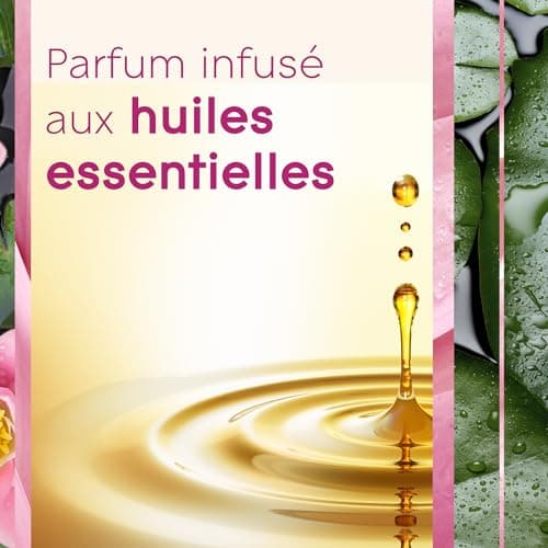 Glade Automatic Spray Diffuseur Relaxing Zen - Infusé Aux Huiles Essentielles
