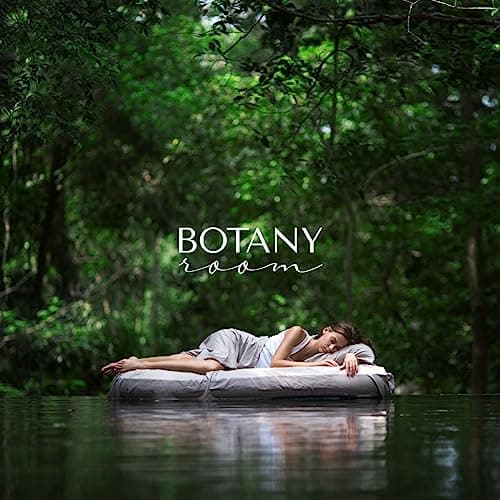 BotanyRoom® spray d'ambiance à la lavande pour le repos et le bon sommeil 200 ml - brume d'huiles essentielles naturelles pour la réduction du stress et la gestion de l'anxiété