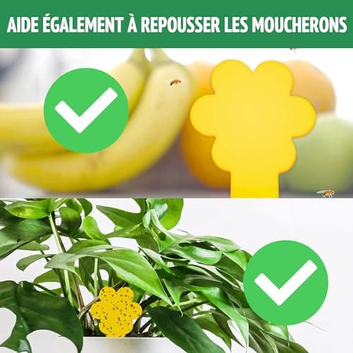 Super Ninja Anti Moucherons Interieur – 10 Pièges – Attrape Mouche De Plantes - écologique – Tres Efficace - Utilisation Facile - Jusqu'à 3 Mois par Piege (10 Pièges)
