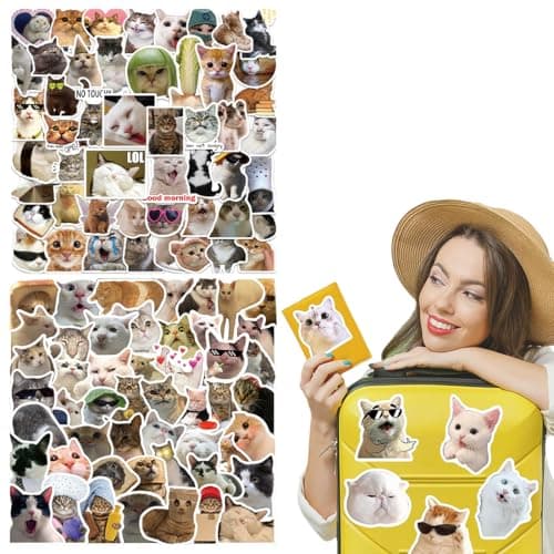 BHIPKOT Cat Meme autocollant pour ordinateur portable(100 PCS) cadeau pour enfants adolescents adultes garçons Meme Stickers vinyle imperméable pour scrapbook skateboard voiture bagages