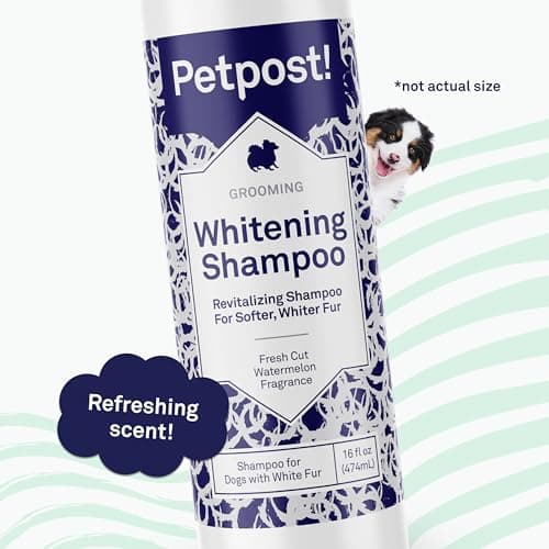 Petpost | Shampooing blanchissant pour Chiens - Le Meilleur Traitement blanchissant pour Chien à Fourrure Blanche - parfumpastèque - pour Maltais, Shih Tzu, Bichon Frise - 474 ML