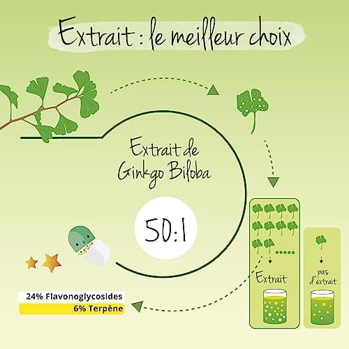 Ginkgo Biloba | Extra Fort : 6000mg | Mémoire + Circulation Sanguine | 180 Gélules | Unique : 24% Glycosides de Flavone + 6% Lactones Terpéniques | Vegan & Sans Additifs | Vegavero®