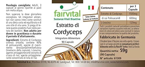 Fairvital | Cordyceps extrait 500mg Fortement dosé - 90 capsules - Cordyceps Sinensis - standardisé à 40% polysaccharides