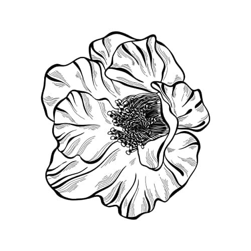 Newstamps Tampon en bois Motif coquelicot Pour la fabrication de cartes, le bricolage, les fleurs, les plantes, le scrapbooking