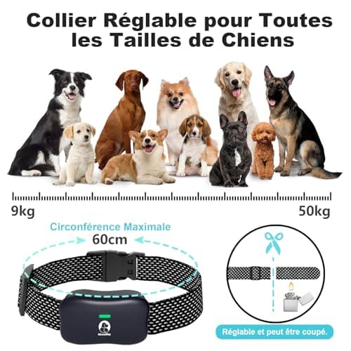Clôture Électronique pour Chien,8M à 1050M Ajustable Clôture avec Télécommande de Dressage,Résistant à L’Eau Collier de Dressage pour Chiens de Moyennes et Grandes