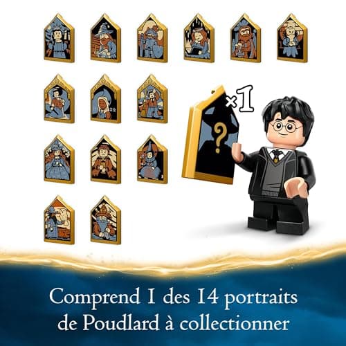 LEGO Harry Potter La Volière du Château de Poudlard, Jouet Fantastique pour Enfants, Set de Jeu d’Animaux, 3 Personnages, Idée Cadeau du Monde des Sorciers pour Filles, Garçons et Fans Dès 8 Ans 76430