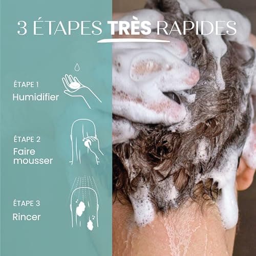 Senso Naturale Shampoing Solide Détox Purifiant Antipelliculaire et Dermatite Séborrhéique, pour Cheveux Gras avec Charbon Végétal Tea Tree Gingembre Huile de Coco, ne Sèche les Longueurs, PH 4.5-5.0