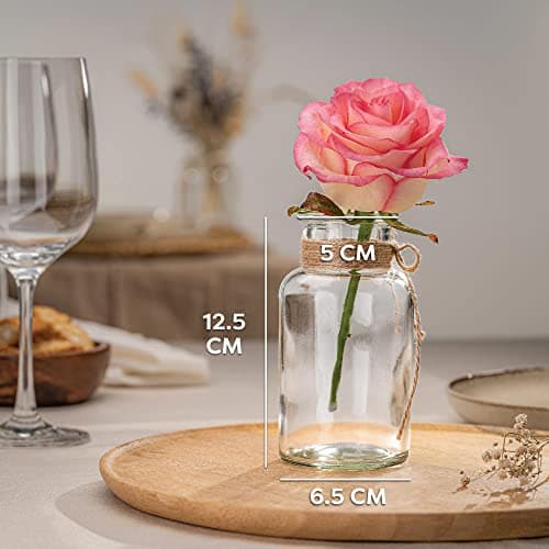 Praknu 12 Petits Vases en Verre 12,5 cm – Soliflore – Vase Décoratif Table