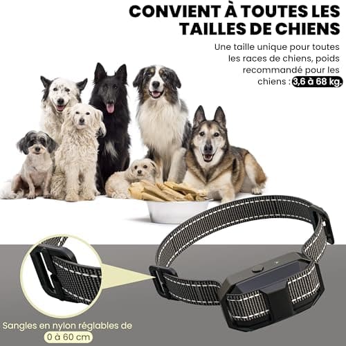 BULIFE Collier de Dressage pour Chiens, 1-50 Niveaux de Vibration, Portée 3000m avec Télécommande, étanche IPX67, 3 Modes : Super Vibration/Bip/Vibration,Rechargeable, pour Chiens de 3 à 55kg (1)
