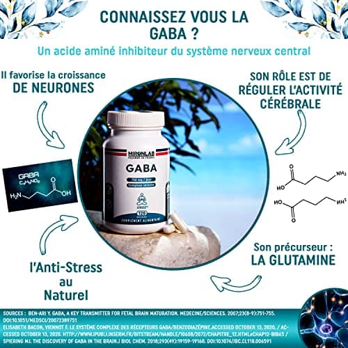 GABA Pur 750mg | Anti stress adulte enrichie en Magnésium & Vitamine B6 | 120 gélules – 2 mois | Favorise Sommeil, Sérénité et Détente | Laboratoire Français MIRONLAB