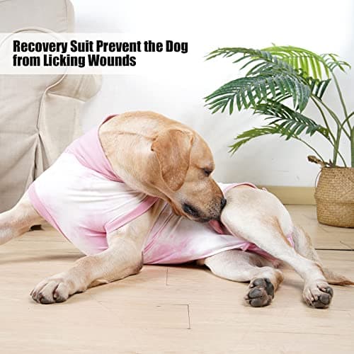 LIANZIMAU Combinaison de Recuperation Chien Body Chien Post Operatoire Femelle Body Medical Chien Body Chien Post Operatoire Male Castration Alternatives Collerettes pour Chiens