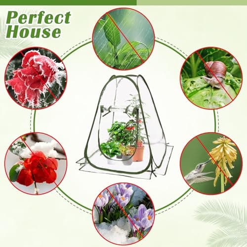 Mini Serre de Jardin 70x70x80 cm Tente d'Hivernage Petite Serre en PVC avec Porte Zippée Pas de Montage Nécessaire pour Plantes Fleurs Légumes Interieur Exterieur