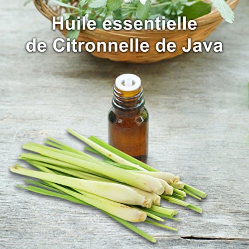 Huile Essentielle de CITRONNELLE de JAVA BIO - Cymbopogon Winterianus - Distillée en FRANCE - Mearome - 30 ml - 100% Pure et Naturelle, HEBBD, HECT