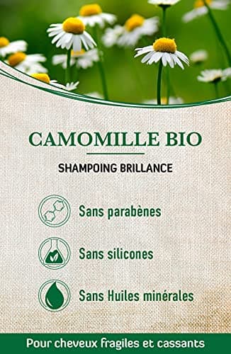 alkmene Shampooing bio à la camomille bio - shampoing pour cheveux ternes et cassants - shampoing anticasse végétal sans silicones, parabènes, huiles minérales, SLS et SLES (6x 250 ml)