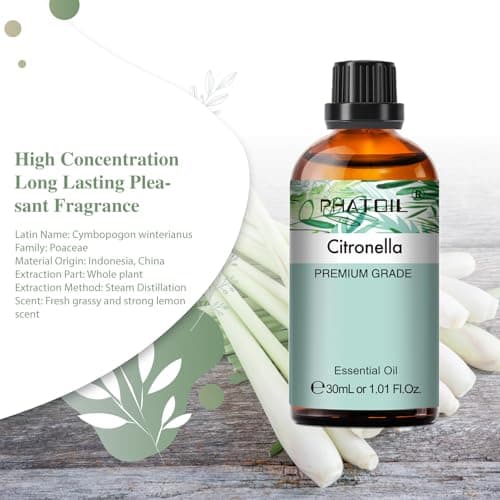 PHATOIL Huile Essentielle Citronnelle 30 ml, Huile Essentielle pour Diffuseur, Huile de Citronnelle Pure Naturelle pour Aromathérapie Humidificateur