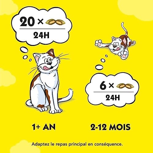 Catisfactions Friandises pour Chat – Saveur Herbe à Chat – Récompenses pour Chats Adultes et Chatons – 60 g (Lot de 6)