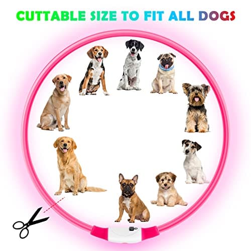 AUAUY Collier Lumineux LED pour Animaux, Rechargeable USB, Découpable, Imperméable, Réglable, pour Petits, Moyens et Grands Chat et Chien (Rose)