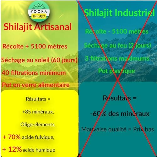 YOOKA Shilajit 60 unités naturel ARTISANAL OR pure. 70% ACIDE FULVIQUE, test en laboratoire garantissant +85 minéraux, 12% acide humique. Séchage soleil 60j, purifiée 40 fois. Société française.