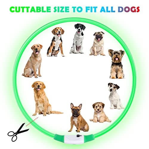 AUAUY Collier Lumineux Chien, Collier LED pour Animaux Rechargeable USB, Découpable Collier Imperméable Collier Chien Réglable pour Petits, Moyens et Grands Chat et Chien(Vert)