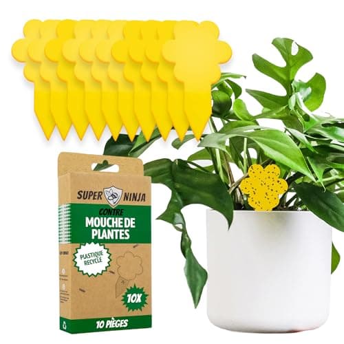 Super Ninja Anti Moucherons Interieur – 10 Pièges – Attrape Mouche De Plantes - écologique – Tres Efficace - Utilisation Facile - Jusqu'à 3 Mois par Piege (10 Pièges)
