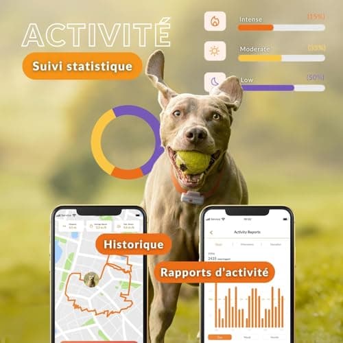 Weenect Chien XS - Nouveau GPS pour Chien | Mini Traceur GPS pour Chien en Temps réel | Etanche | Plus Petit modèle du marché | Fonctionne avec abonnement | Garantie à Vie