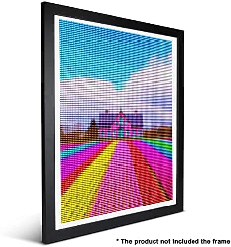 Ginfonr 5D Diamant Painting Diamond Painting Complet Loger Gazon Broderie Peinture Diamant Painting Paysage Usine Kit Complet Décoration De Pour La Décoration Murale De La Maison 30x40 cm