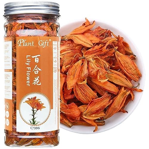 Plant Gift Fragrant Natural Lily Flowers 35G/1.23oz 百合花 Fleurs de lys, fleurs de lys séchées biologiques, thé santé, thé de lys chinois