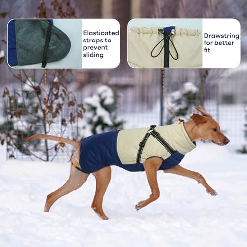 Hjumarayan Manteau Chien - Manteaux d'hiver pour Chiens Manteau Imperméable Chien Veste Chien, Manteau Chien avec Harnais Manteau Chien Petite Taille Manteau Yorkshire Jack Russel, Bleu Marine M