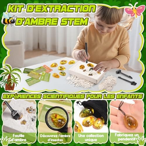 Jouet Garcon 6 7 8 9 10 Ans, Geebiiny Fossil Experiences Scientifiques Enfants Cadeau Garcon 5-12 Ans Pierre Precieuse Kit Exploration Enfant Jeux Garcon 6-11 Ans Kits Éducatifs de Sciences