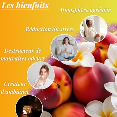 BOUGIE MAGIE - Fondant Parfumé pour Bruleur en Cire de Soja Naturelle Fait Main Parfumée - 6pcs/96 Grammes - Parfum Monoï Pêche - Coffret Cadeau