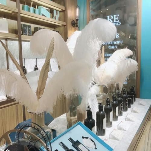 pièces 15-70 cm grandes Plumes d'autruche plumes d'autruche blanches Plumes de Carnaval centres de Table fête accessoires de mariage décoration-25-30 cm petit poteau