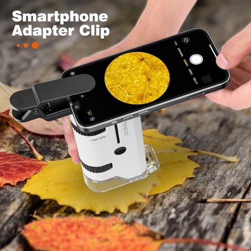Mini Microscope de Poche 100x-250x pour Enfants Adultes, Microscope portable avec 5 Lames de Microscope, Adaptateur de Téléphone, Miniscope Portable pour Enfants Adultes, Scientifique Education, Blanc