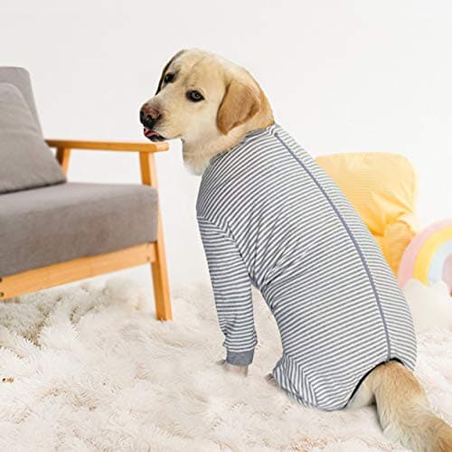 Yeapeeto Body Chien Post Operatoire Combinaison de Convalescence chirurgicale pour Chiens de Grande Taille et Moyenne (Gris,2XL)