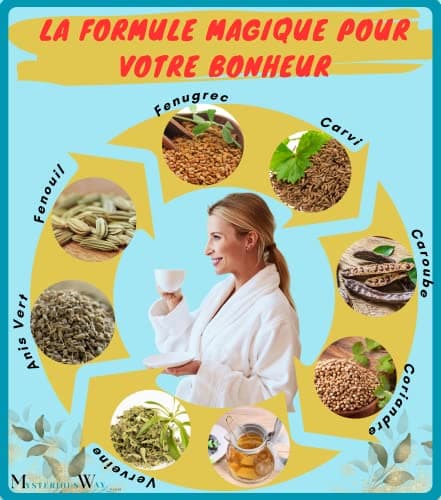Tisane Magique 300g + boule infuseur cadeau | infusion allaitement bébé | Digestion difficile | règles douloureuses | lactation colique graine fenugrec fenouil carvi Verveine caroube vrac future maman