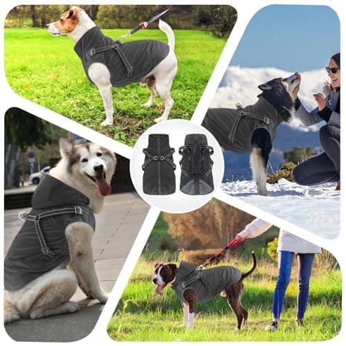 Mosucoirl Manteau de Pluie imperméable pour Chien à Capuche réfléchissant pour Chien Veste de Pluie réglable pour Chiens et Chiots de Petite Moyenne et Grande Taille(Noir, L)