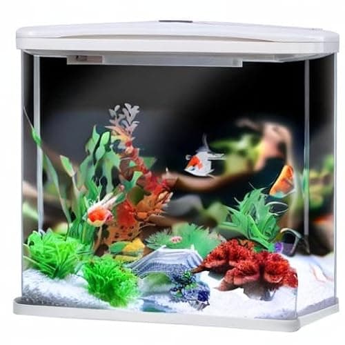 Molyorch Deco Aquarium, Artificielle Deco Corails Aquarium Plante, Coraux Orange Décoration D'aquarium, pour Décoration Aquarium à Poissons, Aménagement Paysager, Balances D'aquarium (Orange)