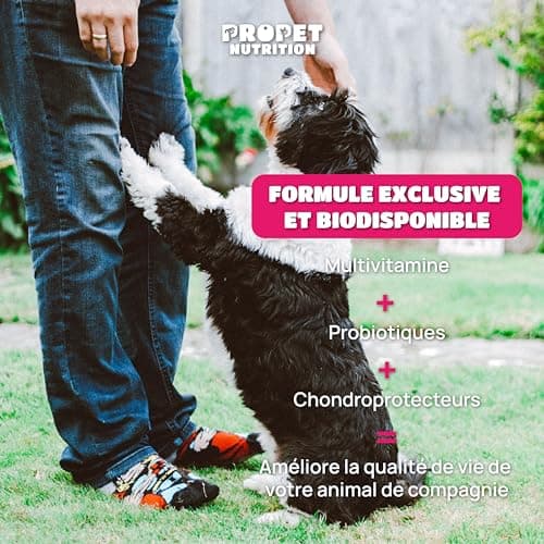 Complement Alimentaire Chien et Chat 20 en 1. Vitamines, Probiotique et Glucosamin Anti Arthrose. VIT A, B, C, E, H, Omega 6, Levure de bière + Fer. 100% Naturel. Effet Anti Inflammatoire. 120 Doses