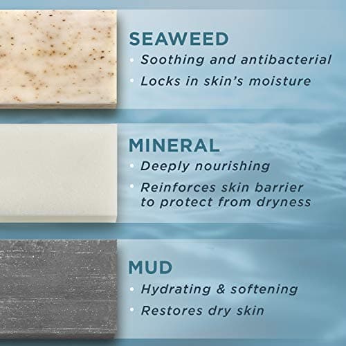 PraNaturals - Lot de 3 Savons de la Mer Morte, 70g, Naturellement Riche en Minéraux, Savon à la Boue, aux Algues et aux Minéraux